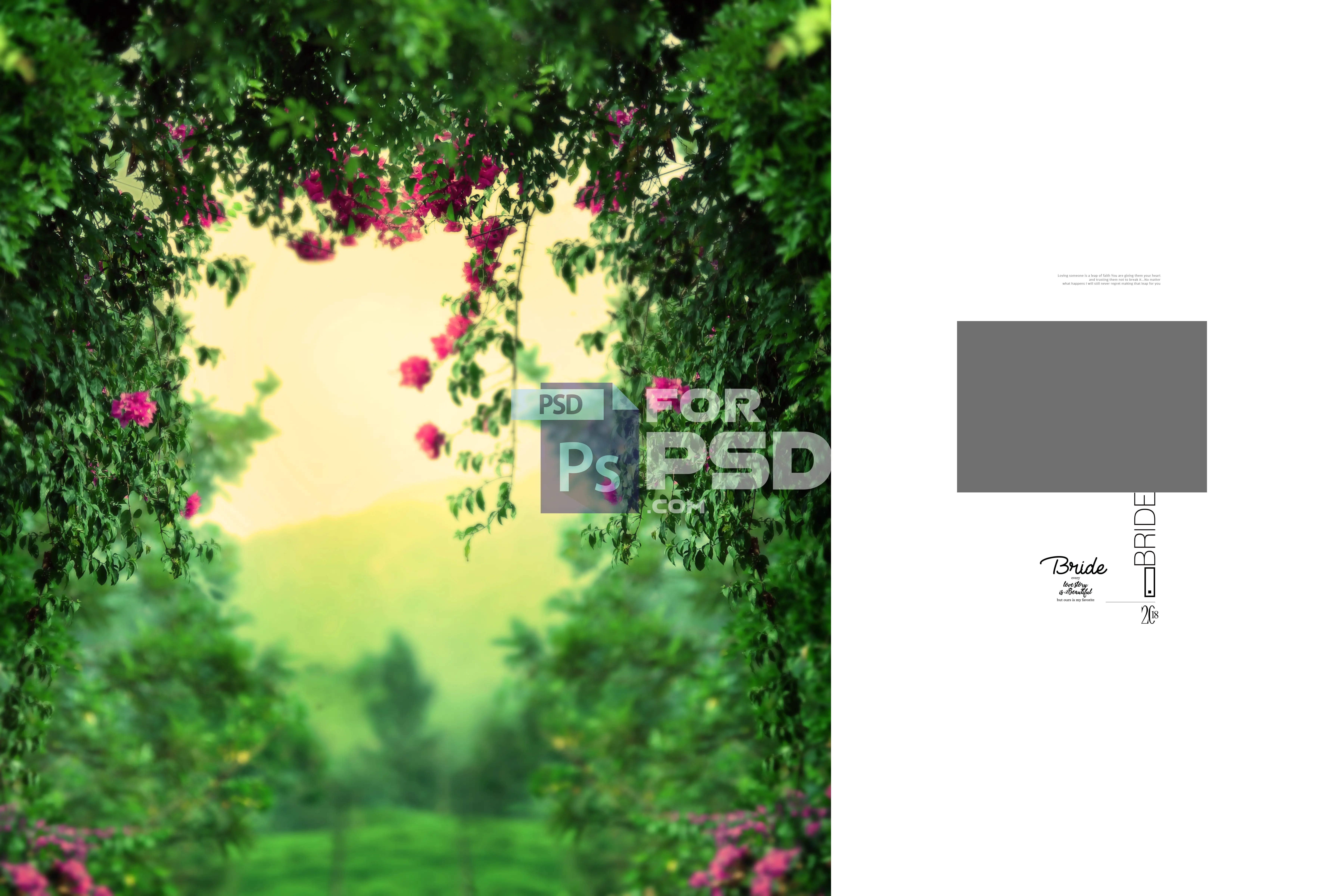Image Preview